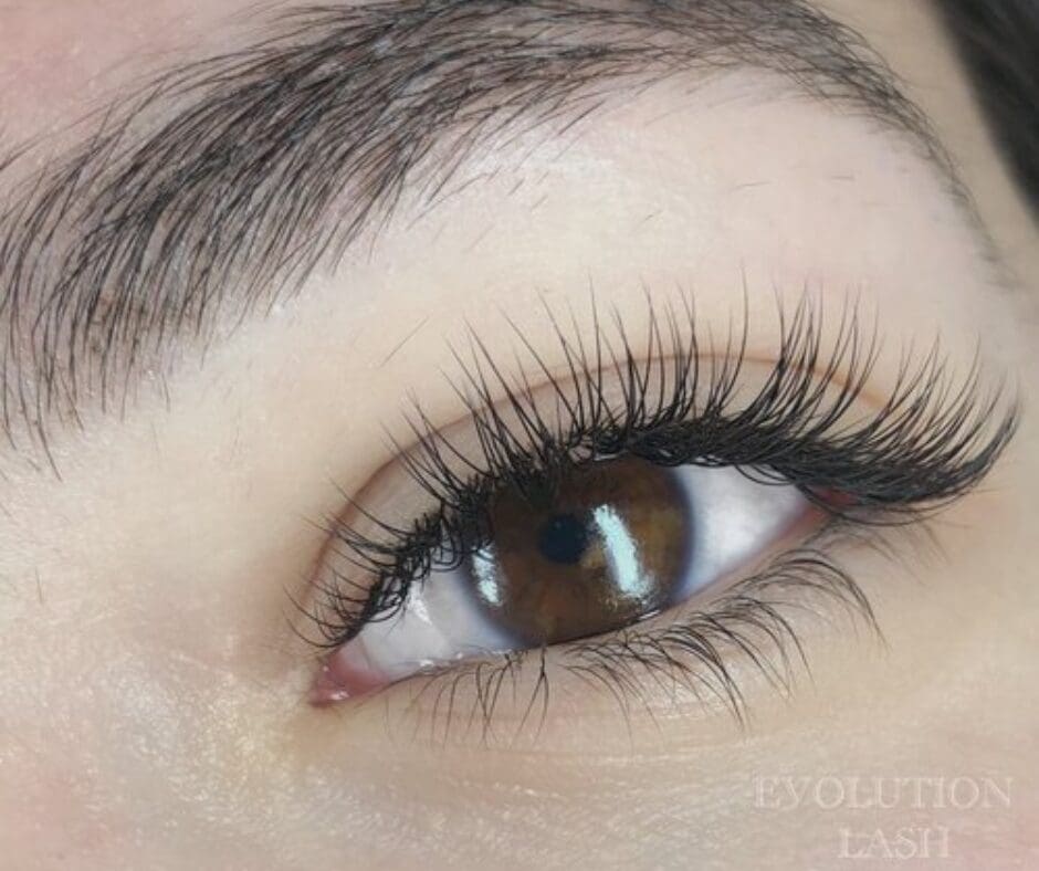 A full set of lash extensions on a brown eye